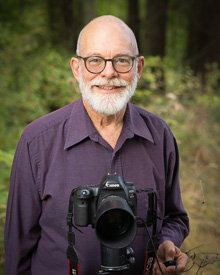 Mark Turner