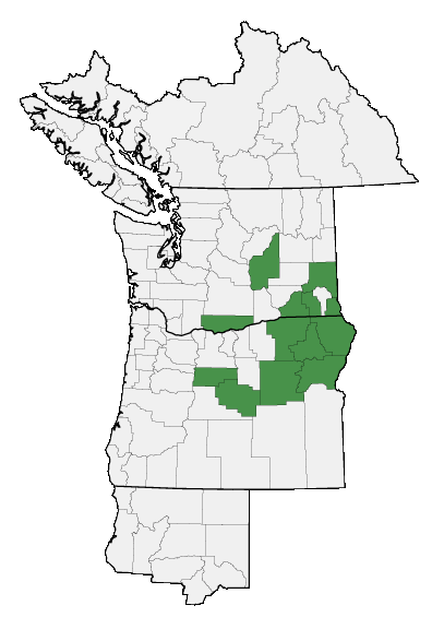 Map of where plant is found