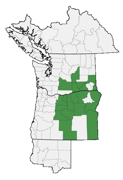 Map of where plant is found