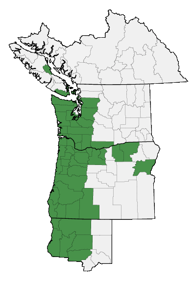 Map of where plant is found