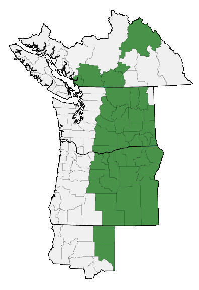 Map of where plant is found