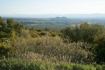 Skunkbush Sumac, Creeping Sage, Canyon Live Oak, Green Manzanita view northwest fr Inskip Hill