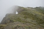 Chowder Ridge alpine habitat view