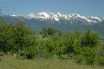 Granite Mountains, morning