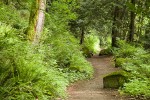 Squires Lake trail
