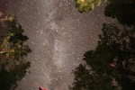 Star trails framed by Gray Pines